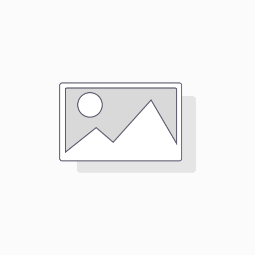 BS6375BSP-0100