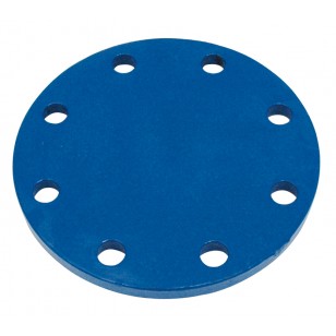 [RFBPP-100] PLAQUE PLEINE FONTE PN10/16 (DN 100)
