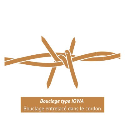 [IOWA-1.7] FIL BARBELE - RONCE ARTIFICIELLE - 4 PICS TYPE IOWA - GALVA  - RLX 100 ml (1.7)