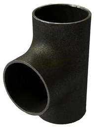 TE EGAL ACIER NOIR T10